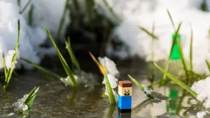 Comment trouver le serveur Minecraft pour jouer en ligne ?